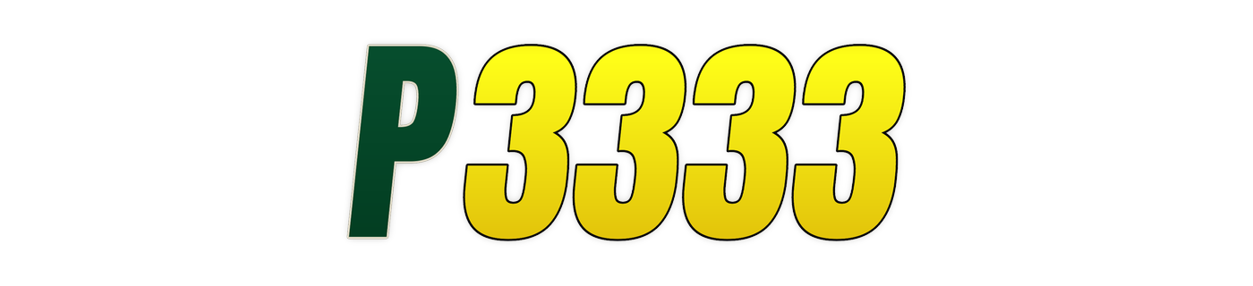 p3333